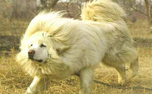 ����������ģ����x23ƪ��