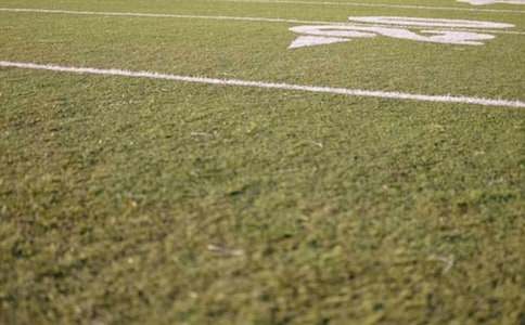 Ŷ����ӛ���е���һƬ�و�����