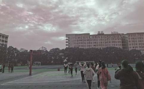 介紹操場(chǎng)的作文500字(精選3篇)