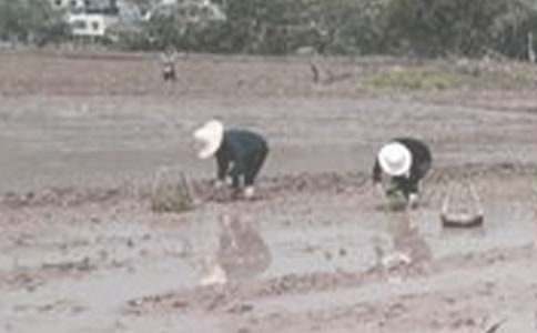 ��һ�β������ģ����x27ƪ��