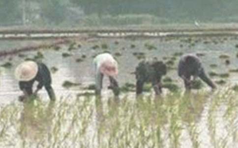 ��������700��