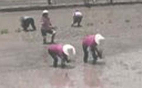 ����ӛ����700��