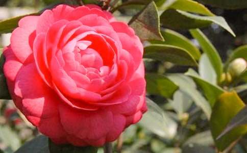 ���؂䡿�軨����300����ƪ