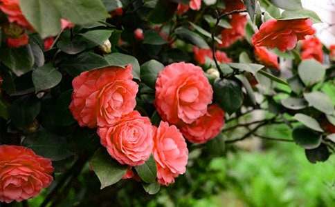 �^��軨���ļ���7ƪ