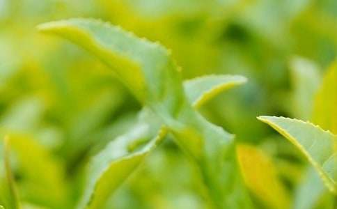 ���~�I�N�Ĳ߄�����