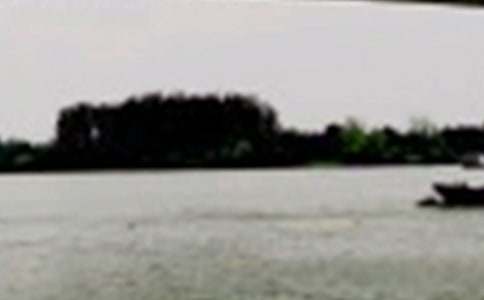 長江作文600字5篇