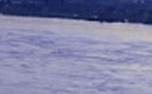 �茑�L����Ԋ�� ��Ԋ