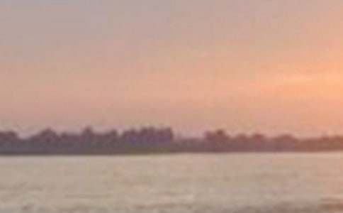 ���P(gu��n)�茑�L(zh��ng)�����~�Z(y��)