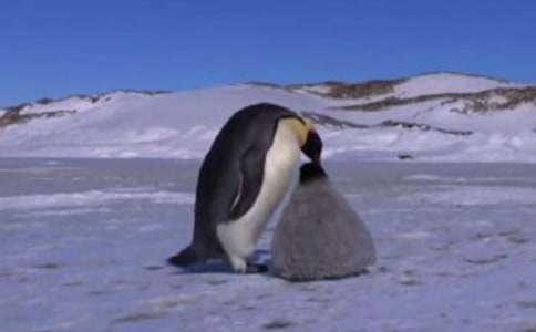 ��Խ�����Đ����ģ�ͨ��31ƪ��