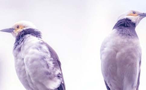 ����X�͸�ĸ��������