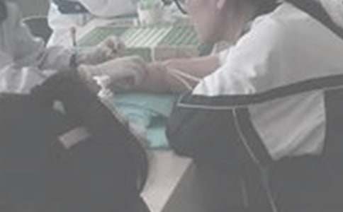 抽血教我的事作文