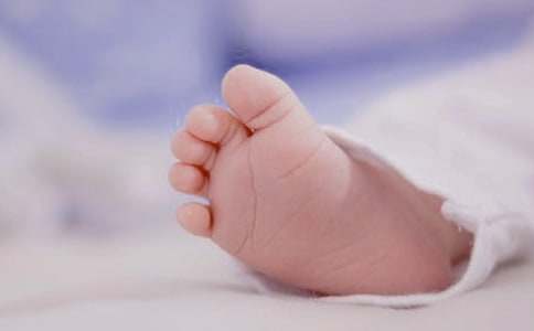 ���L�w�P,��������ľ�������