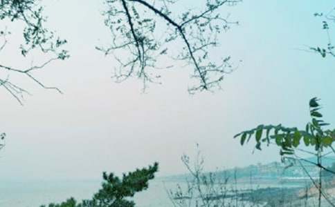 ��(sh��)�h(yu��n)������չ�ഺ�L(f��ng)�Ƀ�(y��u)�����ģ����x19ƪ��