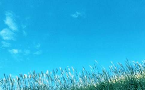 ���崺�L(f��ng)��������