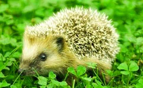 С����u�Ǻ��JͯԒ����