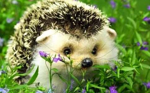 ͯԒ���¾��x��С��⬵�����