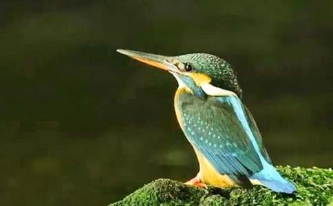 ���꼉�Դ��B�̌W(xu��)��˼