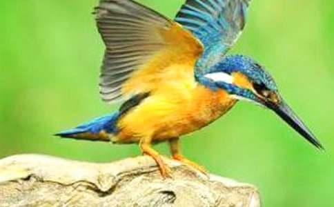 ���B�����ģ����x28ƪ��