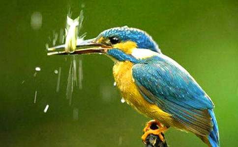 �����Ĵ��B����