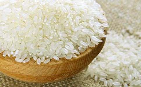 ��������ͯԒ����