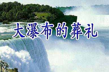 ���ٲ�����Y����