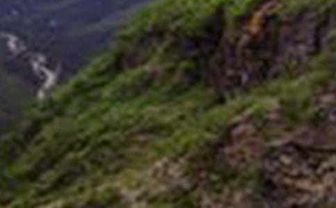 走出大山作文600字(精選13篇)