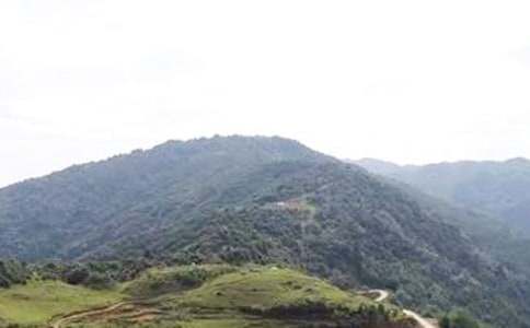 ��ɽ�đ�ŭ�������ģ����x34ƪ��