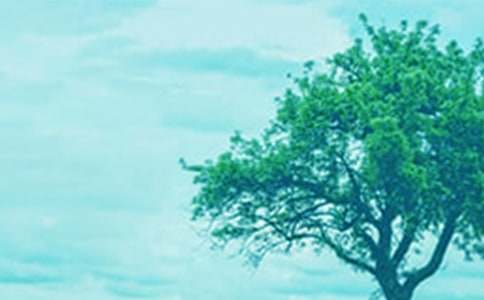 ������䃞(y��u)����������