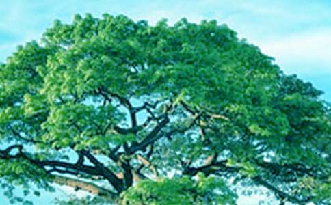 ���(sh��)�cС��(sh��)��ͯԒ��������