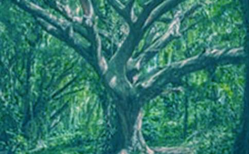 ��������������ġ����x��