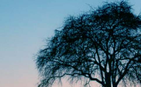 �������辰����������