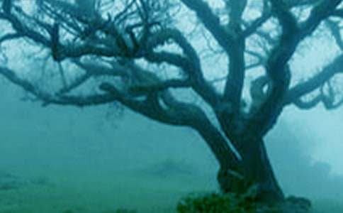 �������(sh��)�������ģ����x38ƪ��