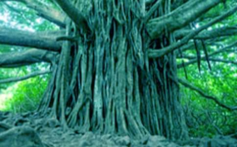 ����������ģ����x43ƪ��