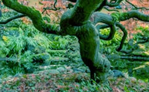 �������(sh��)��������600�辰����