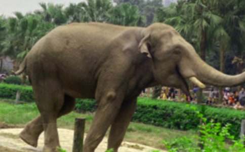 �����á�����ͯԒ����7ƪ