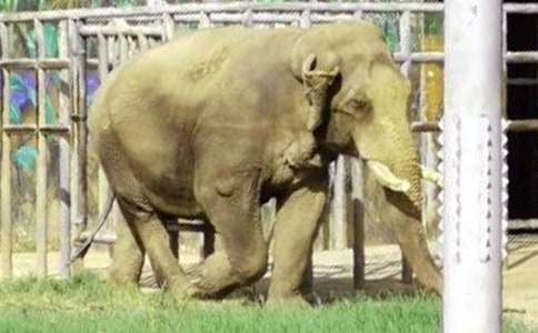 ����ͯԒ���ķ���[10ƪ]