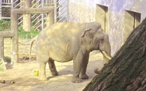 ����ͯԒ���ļ��\��8ƪ��