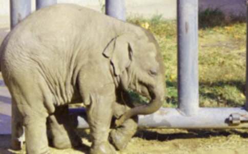 ���P(gu��n)����ͯԒ���ĺϼ�8ƪ