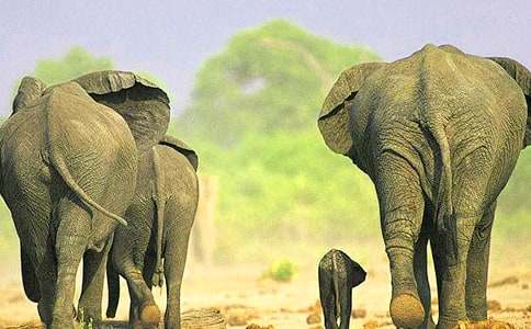 �P(gu��n)�ڴ���ͯԒ�����\��9ƪ