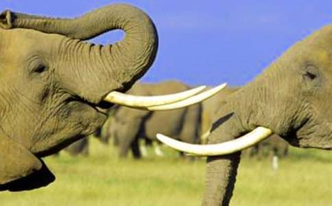 �t̓�Ĵ���ͯԒ����