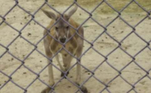 �����󋌋����̰������x13ƪ��