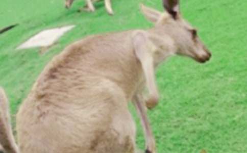 ��������400�֣�ͨ��29ƪ��