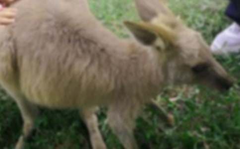 �����󋌋����а�̰�15ƪ����(y��u)�x��