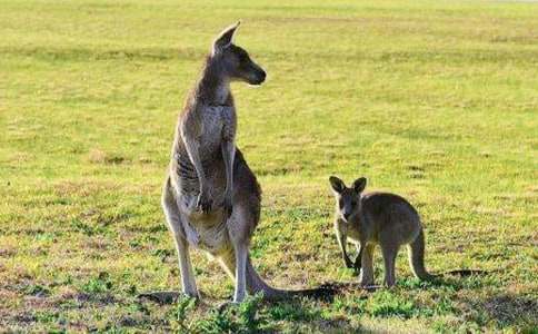 �����������꼉����