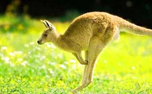 ��������600��4ƪ