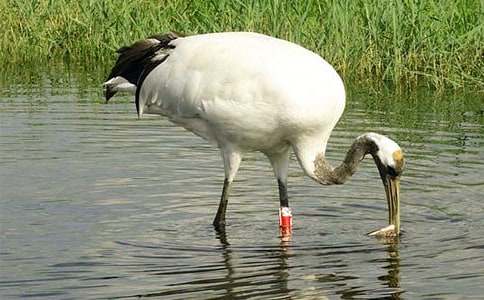 �����ĵ���Q��(y��u)��̰�