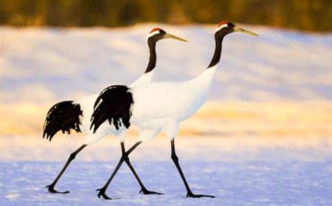 �P(gu��n)�ڵ���Q����600����ƪ