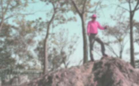 ���ܵ�ɽ�Ę�(l��)Ȥ����1000��