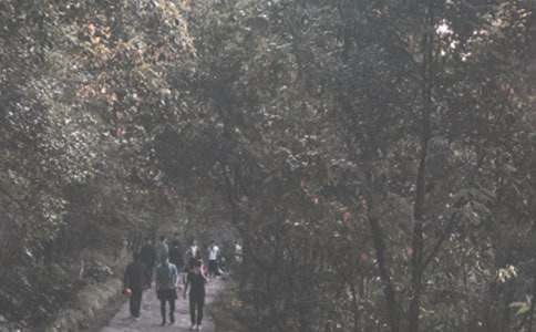 ��ɽ���Ļ�֮������