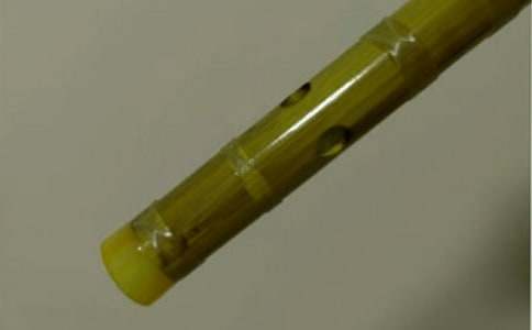 ����?sh��)ĵ������?/></p><h2>��������?sh��)ĵ������?1</h2><p>����ÿ���糿�����S����ɫ���(y��ng)��������(hu��) ���L(zh��ng)�ѵ�����ÿ��(d��ng)�˕r(sh��)���ҿ��������R(sh��)���������ǵ�������ҵ����M(j��n)���������������ҵĠ����������ǂ�(g��)�ό�(sh��)�ķN���ˣ���ƽƽ������̤̤��(sh��)��(sh��)�����^(gu��)�˴������</p><p>������ʮ���(l��i)������ʼ�K������һ����ؐ���Ǿ��������L(zh��ng)������������҂�һ�Ӑ�������ÿ����æ�r(sh��)��(ji��)������?sh��)�����ɻ���߀������������.�L(zh��ng)�ѣ��������������﹡����Ϣ�������L(zh��ng)�������ƓP(y��ng)��ʹ��ȫ���õ�������ƣ���D�r(sh��)��ʧ�ßo(w��)Ӱ�o(w��)ۙ�������˶�ϲ�g�͠���һ��ɻ��ľ����ڄڄ�(d��ng)֮����  ����?sh��)ĵ����������ڄ?d��ng)�Ę�(l��)Ȥ��ԭ��(l��i)������?sh��)ĵ���߀�������ڄ�(d��ng)�ľ�����`����</p><p>����һ��(g��)���L(f��ng)����������������ڴ���ݚ�D(zhu��n)�y�����L(f��ng)������֦���ڴ��τ��^(gu��)���l(f��)���̶��������@������ë���Ȼ���Ҷ��ڱ��C���������f����ס�r(sh��)�r(sh��)�u��(l��i)�Ŀָ֑���ͻȻ���� ���ˠ���?sh��)ĵ����?n��i)�ĵĿָ֑о�?ji��)u�u�p�������þ��M(j��n)���ˉ�(m��ng)�l(xi��ng)��ԭ��(l��i)������?sh��)ĵ�����߀�N(y��n)����ʹ�ˈ�(ji��n)��(qi��ng)������������һ��ҹ���������_ʼ���磬���ݚ���һҹ�Ę��С��������ֱ�������������������Tǰ���������L(zh��ng)�������澏���ƓP(y��ng)���ƺ�����������ٻ�ζ�L(f��ng)�����ַ·��ǚq�¶��^(gu��)�����پ׽�������ԭ��(l��i)������?sh��)ĵ�����߀�����ؑ�����ϧ��</p><p>��������?sh��)ĵ��̕?hu��)���w�(y��n)�ڄ�(d��ng)�Ę�(l��)Ȥ���̕�(hu��)�҈�(ji��n)��(qi��ng)���̕�(hu��)����ϧ��ǰ�ĕr(sh��)���������D(zhu��n)���ƓP(y��ng)�ĵ�����Խ�r(sh��)�g�Ϳ��g�����������S�ҵ�һ����</p><h2>��������?sh��)ĵ������?2</h2><p>����ӛ�����ǃ���ǰ�ĕr(sh��)������ĩ��ԇ������(l��i)�R���Ҿo���؏�(f��)��(x��)�����n��</p><p>������(d��ng)�r(sh��)����������ס��һ������������ע����(hu��)�ª�(d��)����į����������Ҳ�򲡶�ȥ����� �����(d��)��һ�����Ĵ���������(j��ng)�����ڴ�ǰ�ēu�������۾������h(yu��n)�����տյ����e���ĕr(sh��)����ҲҲ��(hu��)�ó�����ֻ��f�ĵ��Ӵ��������ӣ��ǵ�Ҳ�������p�۾����տյ���</p><p>����һ�����������һ����(sh��)�W(xu��)�}�����ρ�(l��i)������˼�����ǿտյĵ����ڶ�߅�������һȺΛρ���M�ҵ�����ʹ�Ҹ����ğ����ʹ�һ�������������o��(hu��)���ò��������ǿտյĵ��Ȼ��ֹ�������룺߀�Ў������ĩ��ԇ�����������ȿ���ԇ��һ��׌������(g��)������Ҳ���ڸ�ǰ ����������</p><p>����֮��Ď��죬�ҵĶ�߅��Ҳ�](m��i)������ǿտյĵ�����?y��n)���͵͵�ذѠ����(sh��)ĵ��Ӳ����˹����������ô��Ҳ�Ҳ�����ż�������?l��i)��(w��n)�ҵ��ӵ�ȥ������ֻ�Ǽ��b�P(gu��n)�Ķ��u�u�^�f(shu��)��֪�������@�ӳ��m(x��)��һ�Εr(sh��)�g������](m��i)�����ǿտյĵ��������ﰵ�����d���������f�����h(yu��n)�����۾��տյġ�����ĩ��ԇ���죬�ְֽo�Ҵ��(l��i)�Ԓ�f(shu��)�������K���l(f��)��������һ�������ˣ��ȵ����翼��ԇ���һ푣��Ҽ�æ�ܻؼ���������ֻ���Ҳ��˴�Ű낀(g��)���µĵ���ֱ���t(y��)Ժ����(d��ng)���s���t(y��)Ժ�r(sh��)���ѽ�(j��ng)���ˣ��������K���l(f��)������(l��i)�������������h(yu��n)�����ˡ����ְ������ҵļ�����f(shu��)�����������^(gu��)ȥ�Ķ��^(gu��)ȥ�ˣ���Ҳ�e̫�����������ҿ�Ҋ�ְֵ��۾��t�t�����۾��ﺬ�M�˜Iˮ���þÛ](m��i)������(l��i)��</p><p>�����ص�������Ҳ׃�ú͠���һ���������ڴ�ǰ���Ǐ�����������ζ��.�u���������h(yu��n)�����۾��տյ����r(sh��)���ó���ֻ�|��(d��ng)���ҵ����`�ĵ����������נ�����ǰ���^(gu��)��������Ҳ�ǿտյģ��ۜI��������������(l��i)��</p><p>�����ҹ��ڠ���?sh��)ĉ�ǰ��������֧��֧�������Iˮչʾ���ҵ��½��ܽ��ڸɿݵ������������M(j��n)����?sh��)����������������ɣ��M��Ĵ���������ϲ�g�����ӣ��ҕ�(hu��)�o�o����������ǰ �������ӣ��������� ��Ҋ�᣿������</p><p>������ʼ�K�����������|��(d��ng)���ҵ����`�ĵ��������г�M�˃�(n��i)����</p><p>������?sh��)ĵ������ġ����P(gu��n)���£�</p><p><a target=